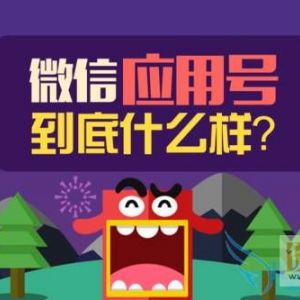 微信应用号真的能替代APP吗...